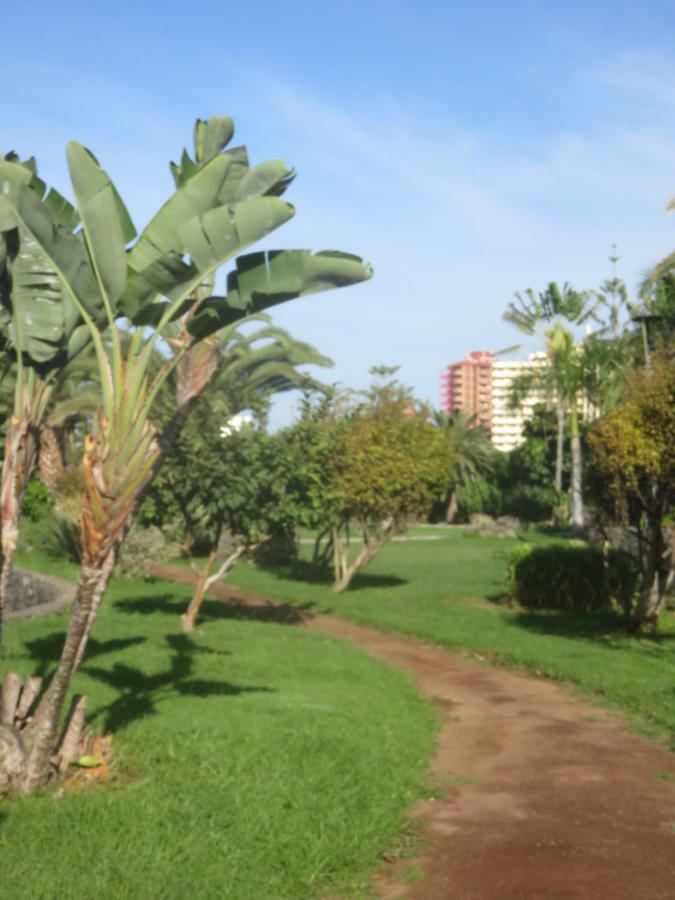 Centrico Loft En El Puerto De La Cruz Con Wifi Y Cerca De La Playa公寓 外观 照片